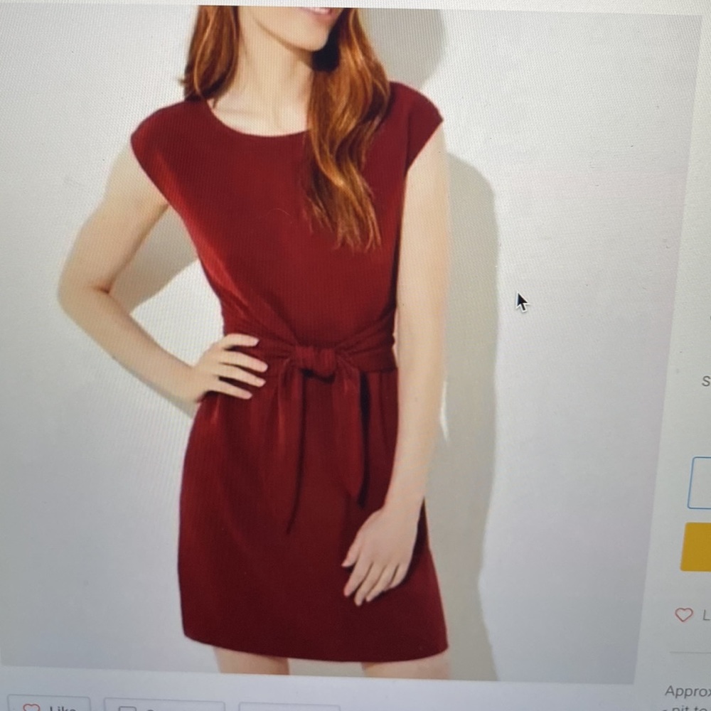 ❤️❤️NWT LOFT Burgundy Tie-Waist Capped Dress - size 8.